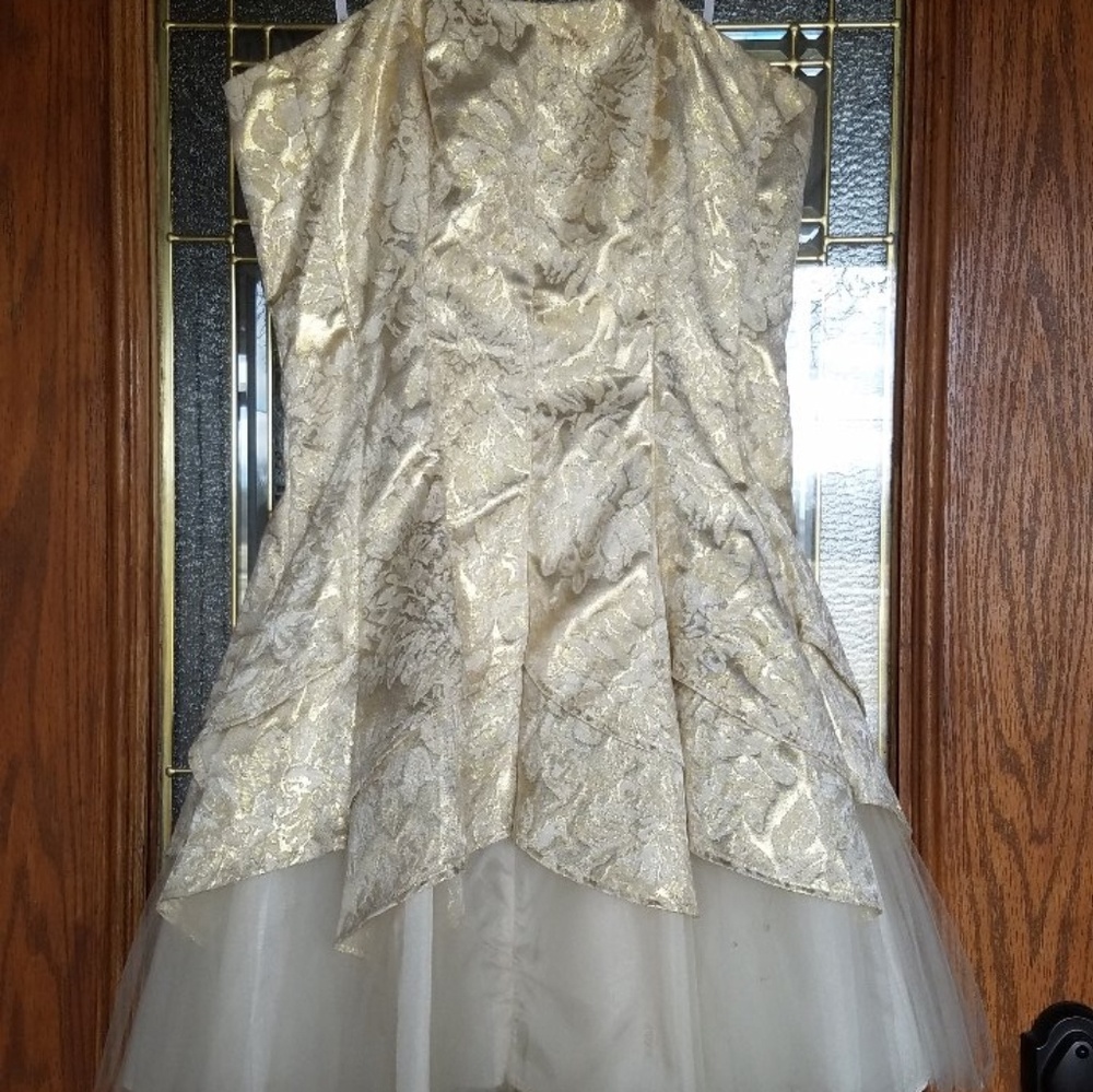 Champagne Cocktail Dress